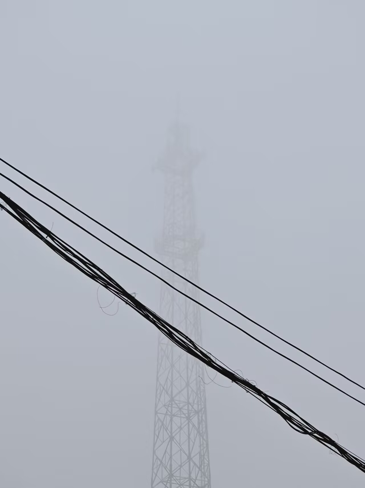 今日雾雨